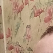 ����, 46 ���, ������