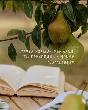   ! - 19  2025  17:33