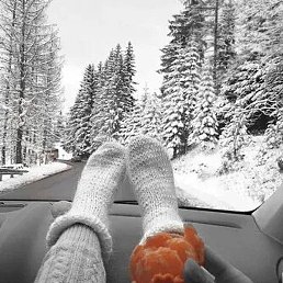 ����, �����������, 46 ���