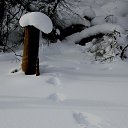 ���� ������, ����-��� - ��������� 24 ������ 2025 � ������ ������������ ����� 4�