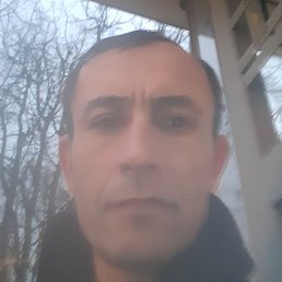 ������, ������, 52 ����