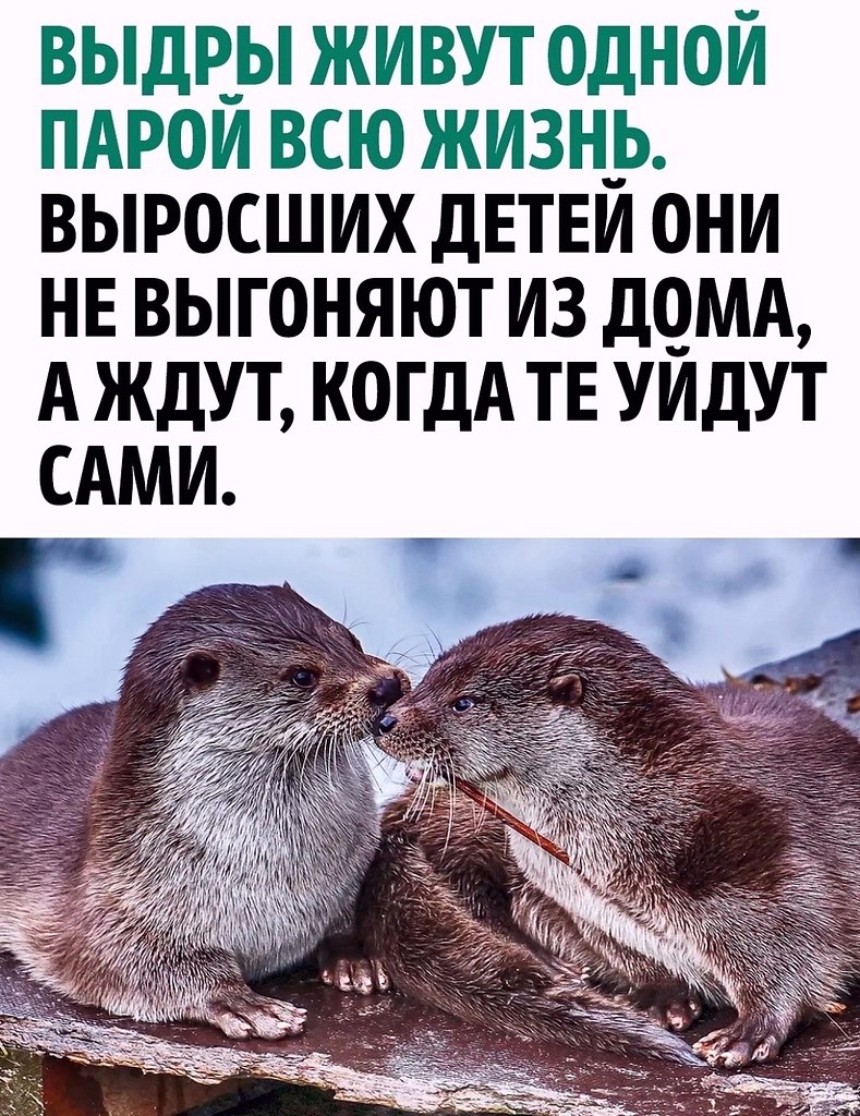 - 25  2025  13:07