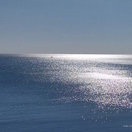 ���� Irina, ��� - ��������� 10 ������� 2026