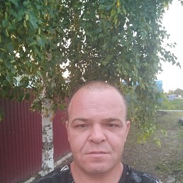 , 37 , 