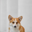 ���� ������, ������ - ��������� 4 ����� 2026 � ������ ���� ����������