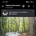���� ������, ����������, 57 ��� - ��������� 25 ����� 2026 � ������ ���� ����������