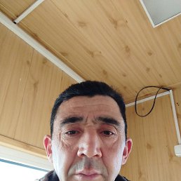 , 41,  