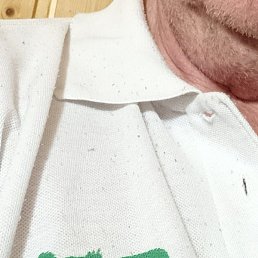 �������, �����-���������, 75 ���