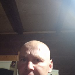 , 41, 