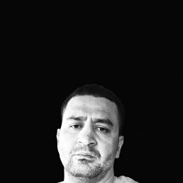 , 35, 