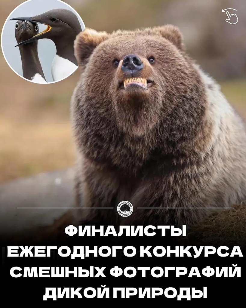 ��������������������������