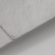 ���������, 47 ���, ������