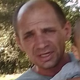 ��������, �������, 43 ����