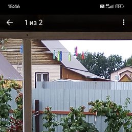 �������, 49 ���, ���