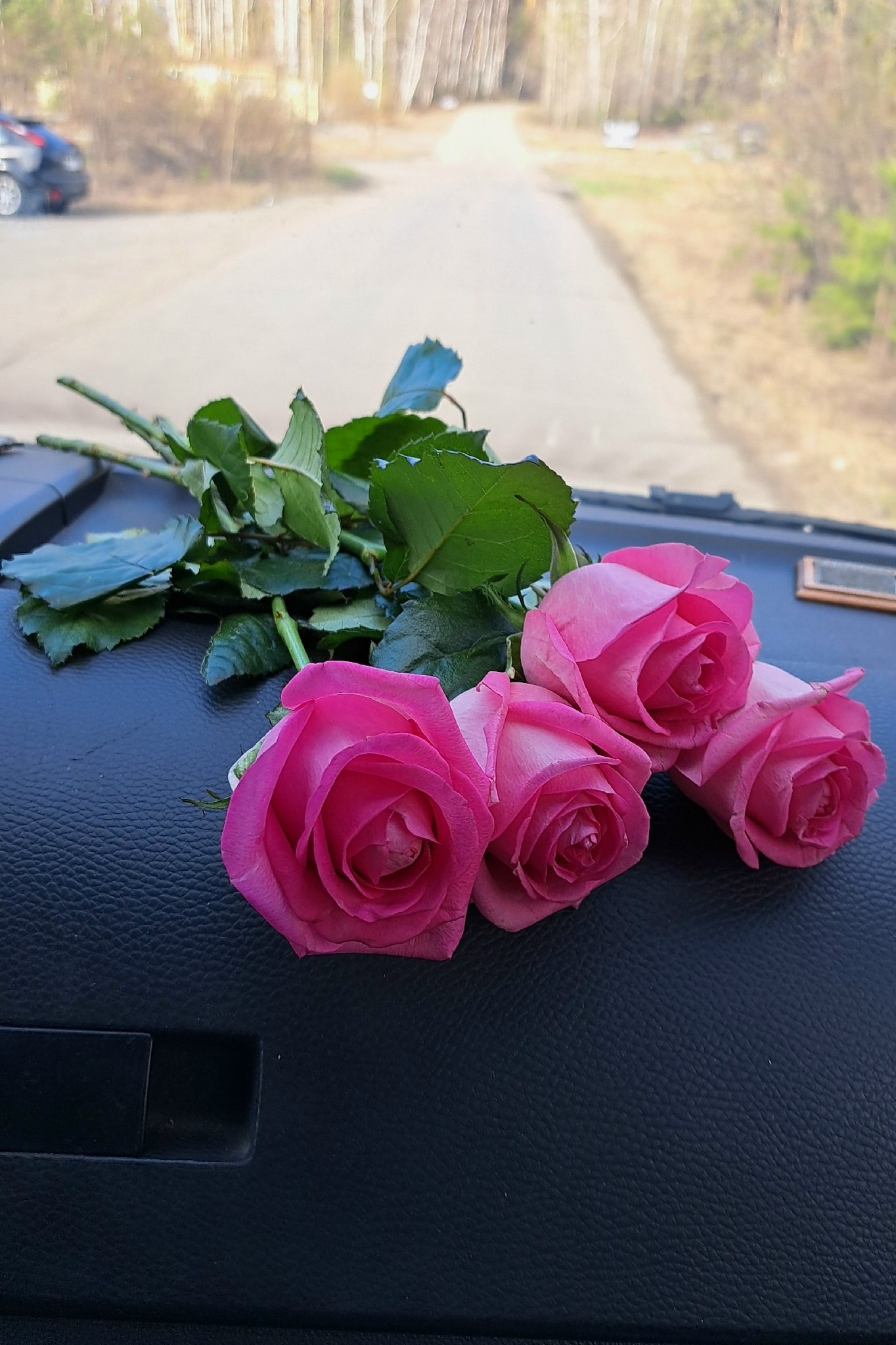 ����� - 15 ������ 2026 � 10:33