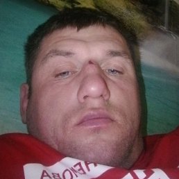 , , 44 
