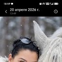 ���� �������, ������, 48 ��� - ��������� 18 ��� 2026 � ������ ���� ����������
