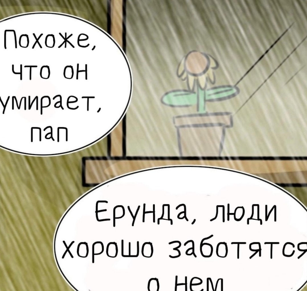 -   - 2