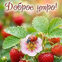 ���� ����, ����������� - ��������� 21 ���� 2026 � ������ ������ ��������