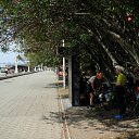 ���� ������, �����-���������, 52 ���� - ��������� 2 ������� 2024 � ������ ��������_���������