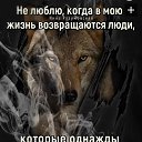 ���� ����, �����������, 47 ��� - ��������� 13 ���� 2025 � ������ ������ ��������