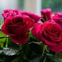 ���� �����, ������, 39 ��� - ��������� 31 ������� 2025