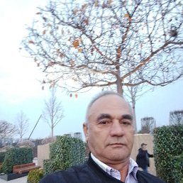 �������, 58 ���, ���������