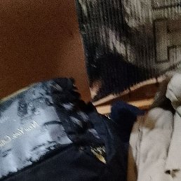 ����, ������, 35 ���