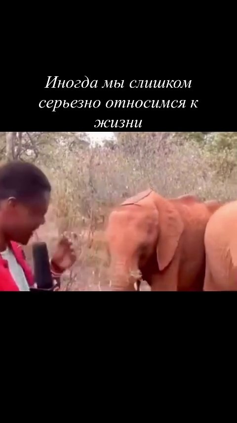 ��������� �������� ����� ������ ��������� ��������� ����� � ������ � ������ ������� � ��������� ...