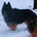 ���� Sergey, �������, 46 ��� - ��������� 29 ������ 2024