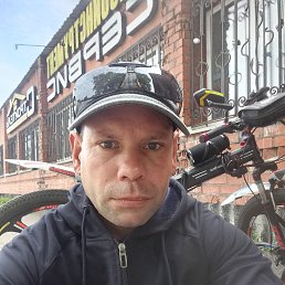 ����, 41 ���, ��������