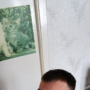 ������, 35 ���, ������