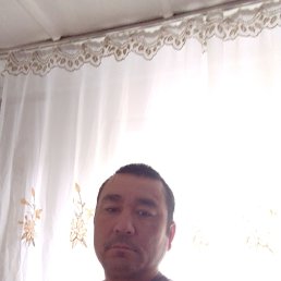 , 43, 