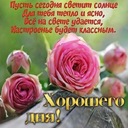   ,    . - 31  2025  23:54