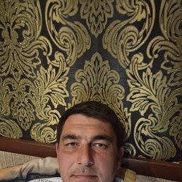 �����, 41 ���, ���������