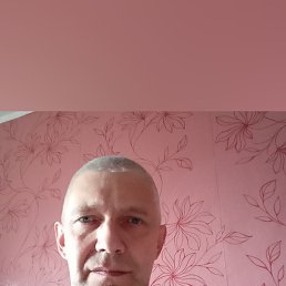, 54, 
