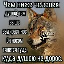 ���� ������, ������, 39 ��� - ��������� 24 ���� 2026 � ������ ���� ����������