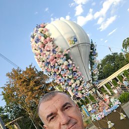 , 57, 