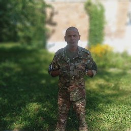 , 54, 