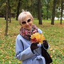  ,  , 53  -  29  2025