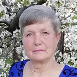 �������, ������, 65 ���