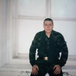 , 36, 