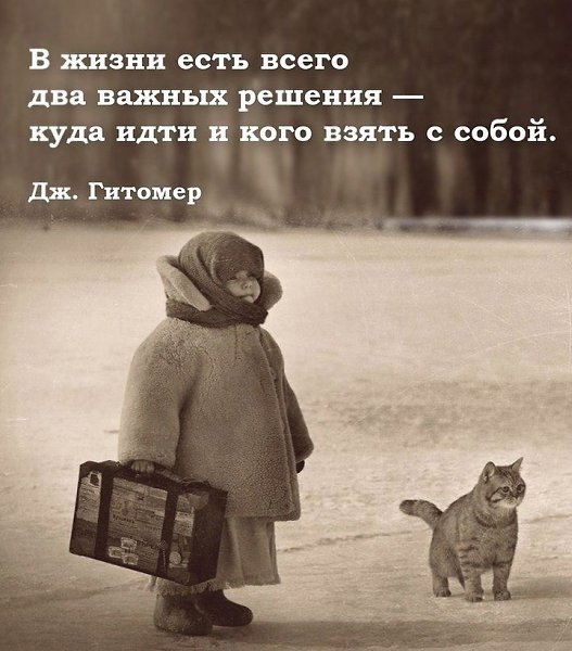 ������ ����� ���� � ��� ������ ����, �� ������� �� ������ �������� ���� �������.