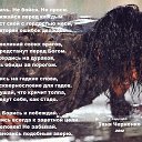 ���� Claudia, ������ - ��������� 20 ����� 2026 � ������ ������ ��������