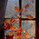 ���� ����, �����-��������� - ��������� 5 ������� 2025