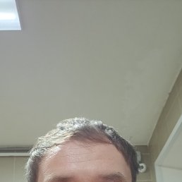 �����, 31 ���, ������-���