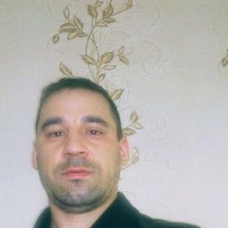 , 37, 