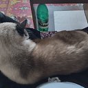 ���� ������, ������, 51 ��� - ��������� 15 ������ 2023 � ������ ���� ����������