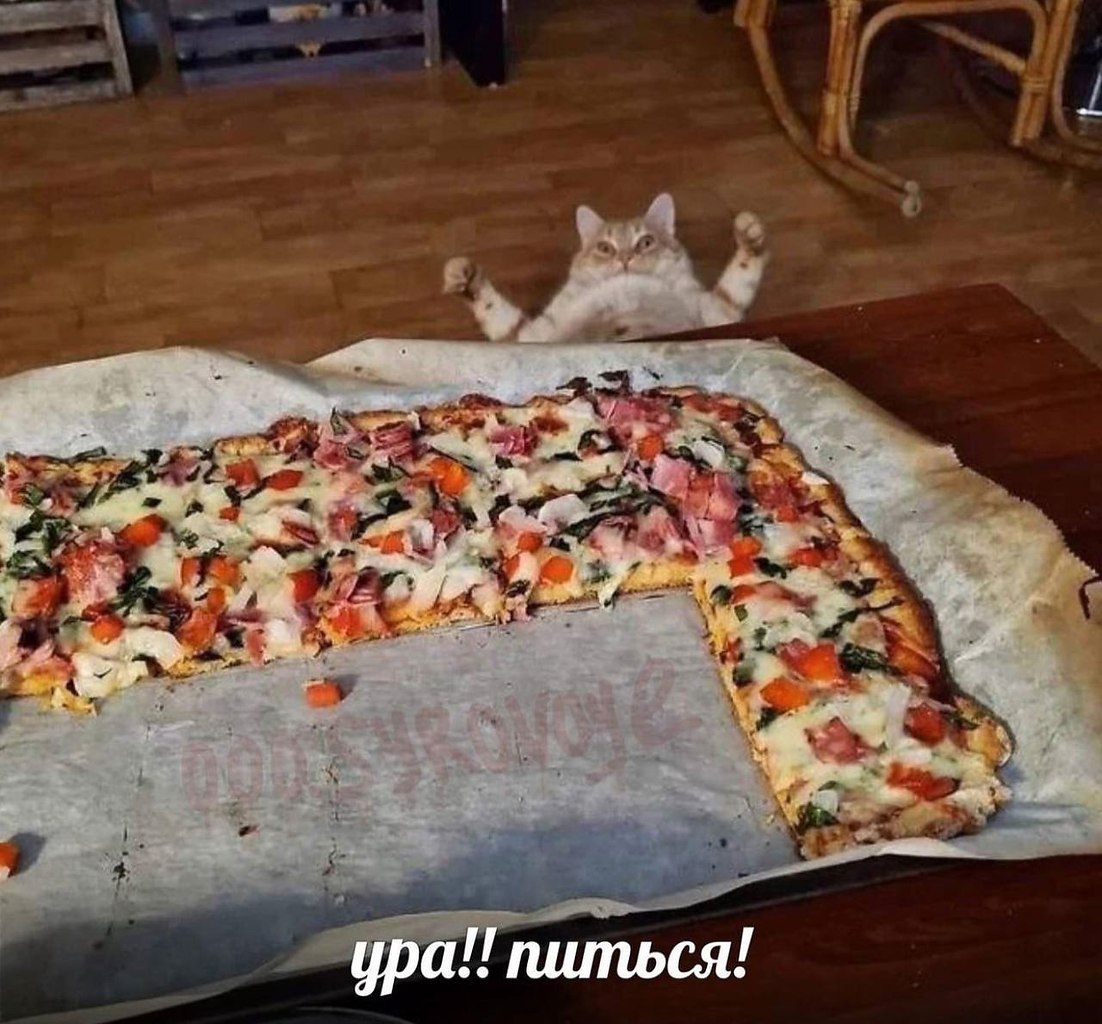    - 24  2024  14:27