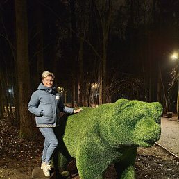 ���� �����, �������, 42 ���� - ��������� 8 ��� 2026